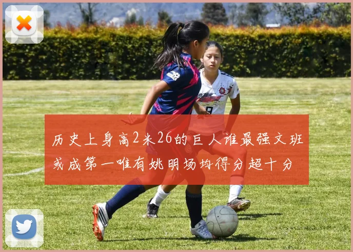 历史上身高2米26的巨人谁最强文班或成第一唯有姚明场均得分超十分