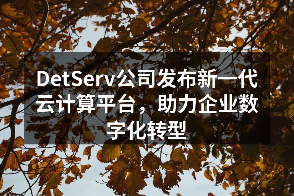 DetServ公司发布新一代云计算平台,助力企业数字化转型